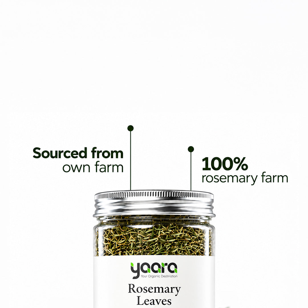 Dried Rosemary Leaves