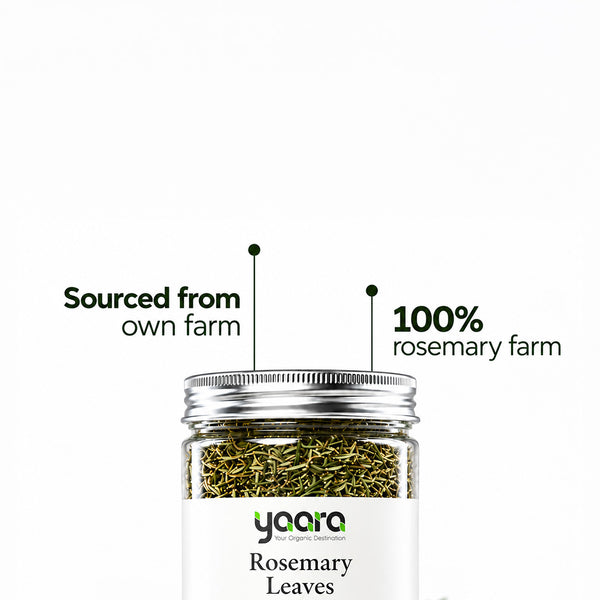 Dried Rosemary Leaves