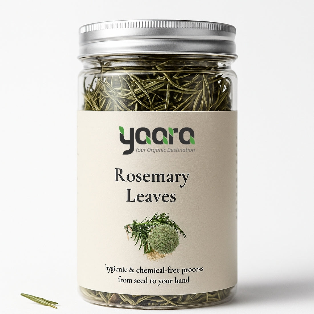Dried Rosemary Leaves
