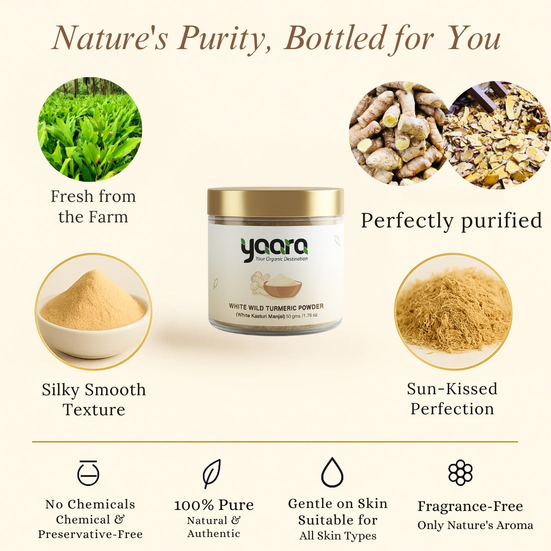 White Kasturi Manjal - Face Pack