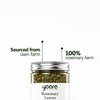 Dried Rosemary Leaves