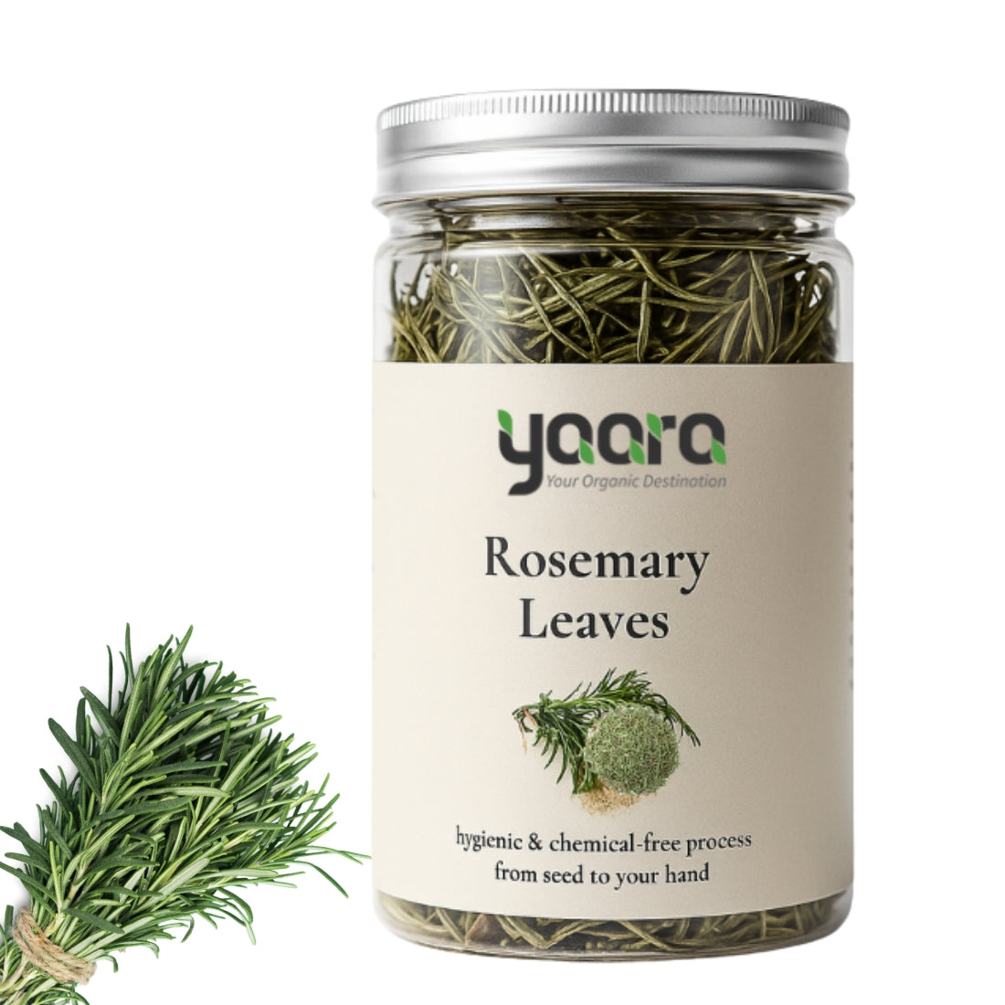 Dried Rosemary Leaves